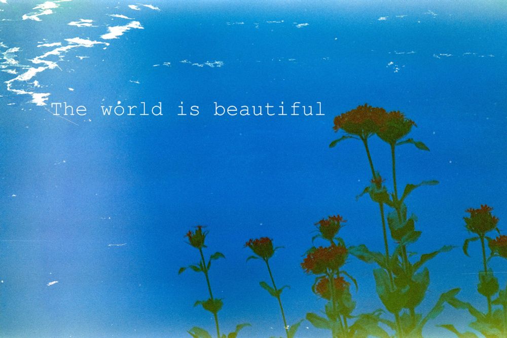 A faded film photo of a red flower on a blue background with overlayed text stating "the world is beautiful" in white.