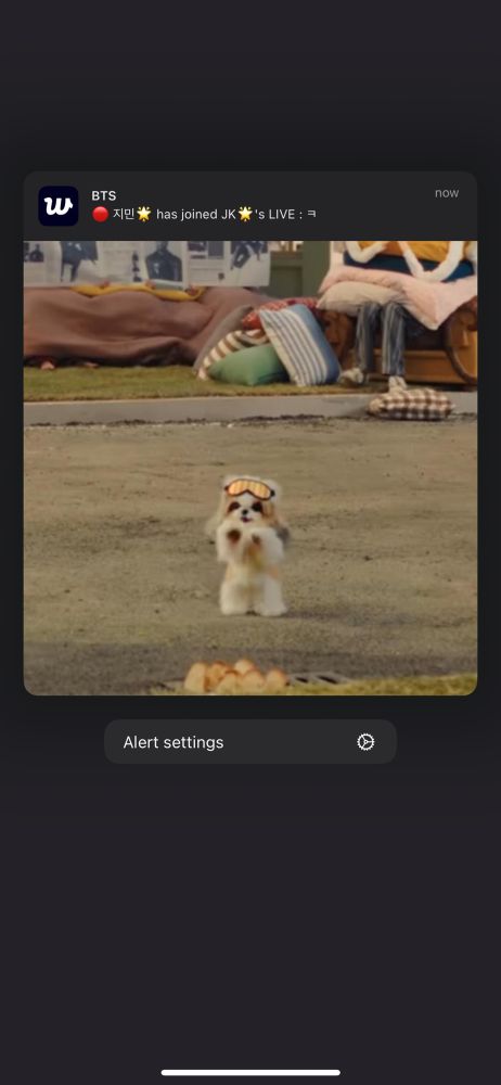 Jimin on Weverse live 