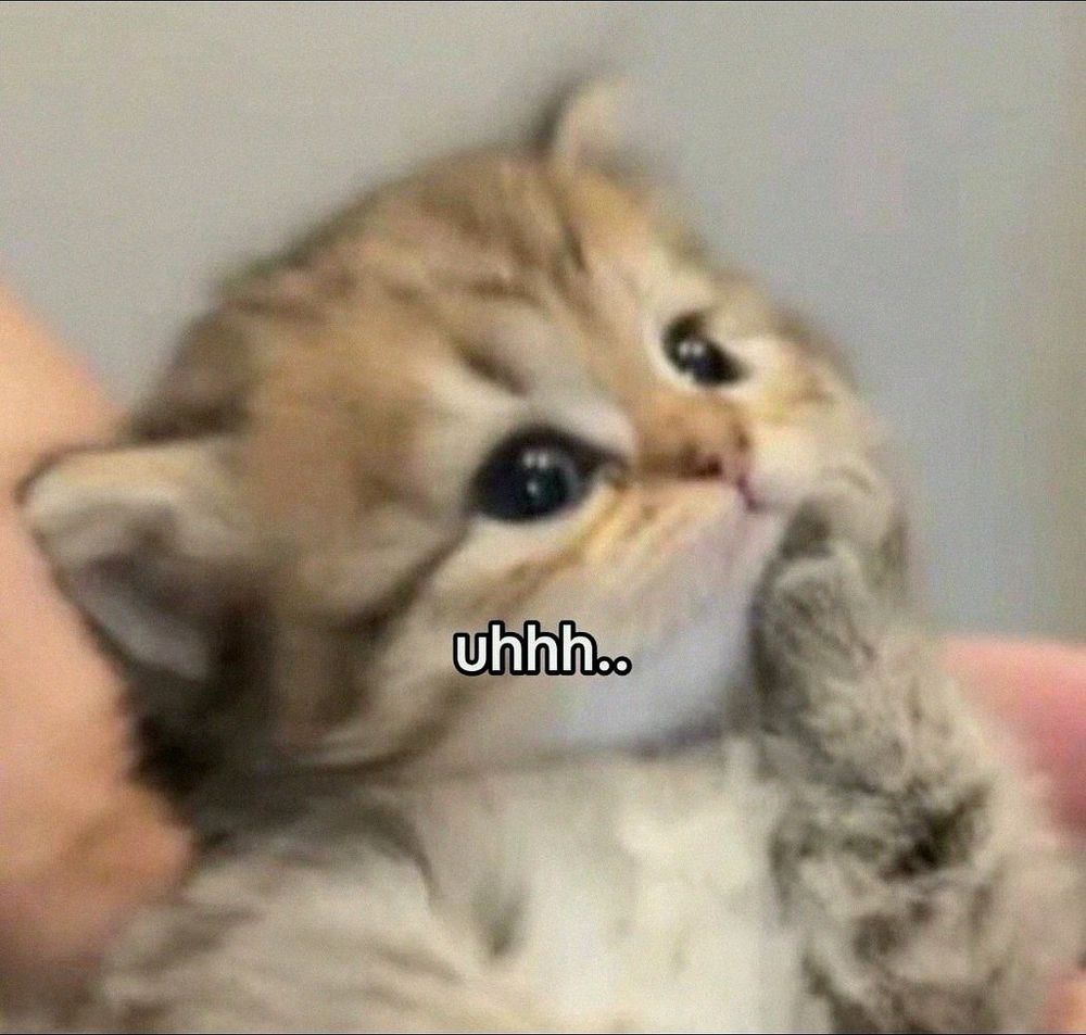 kitten thinking. text reads: uhhh...