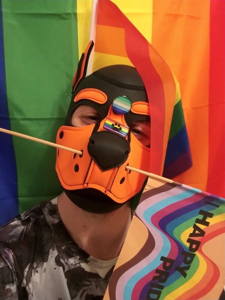 Colorful selfie of Malus looking happily into the camera in front of a big pride flag while wearing his orange pup hood. There are some smaller pride flags and other pride accessories attached to his head.