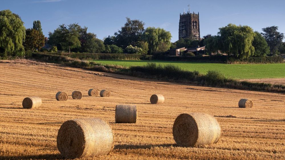 Labour 'squandering Brexit freedoms' with green farming cuts