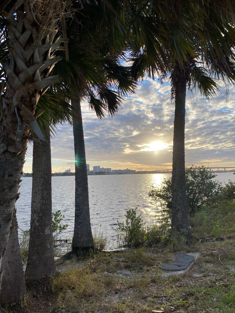 View looking east from Rose Point Park across the Halifax River toward Daytona’s skyline. The scene feels humid and still, with a charged quiet typical of early Florida mornings. The city rises in the distance, framed by open sky and the steady river below.