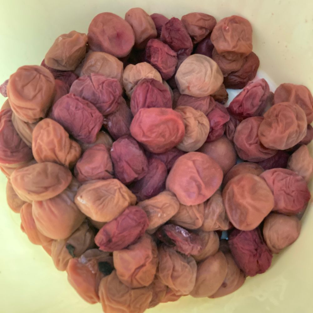 赤紫蘇漬けの梅干し
私はわざと全部を同じ赤にしない
干した時にグラデーションがきれいでそれを楽しみたいから
一番濃いところと一番薄いところを食べ比べれば風味が違うのがわかるが混ざって何年もしたらあまりわからないし個人的に赤紫蘇風味が強すぎる梅干しが好きではない