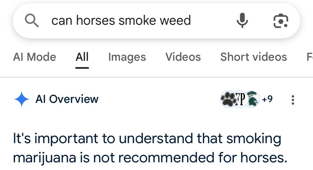 screenshot of a google search for “can horses smoke weed”. the ai overview section answers with “it’s important to understand that smoking marijuana is not recommended for horses”