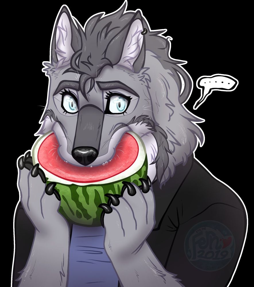 Anthropomorphic wolf man (drawn in 2D digital art) holding and biting down on half of a watermelon. This is a parody of the next image of a real wolf doing the same thing, which has become a meme.