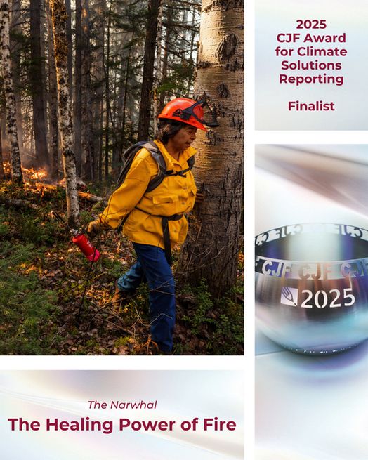 A collage of a photo of a firefighter and a forest fire in the background, an image of the CJF Awards prize bowl, and red text on a multi-coloured background
