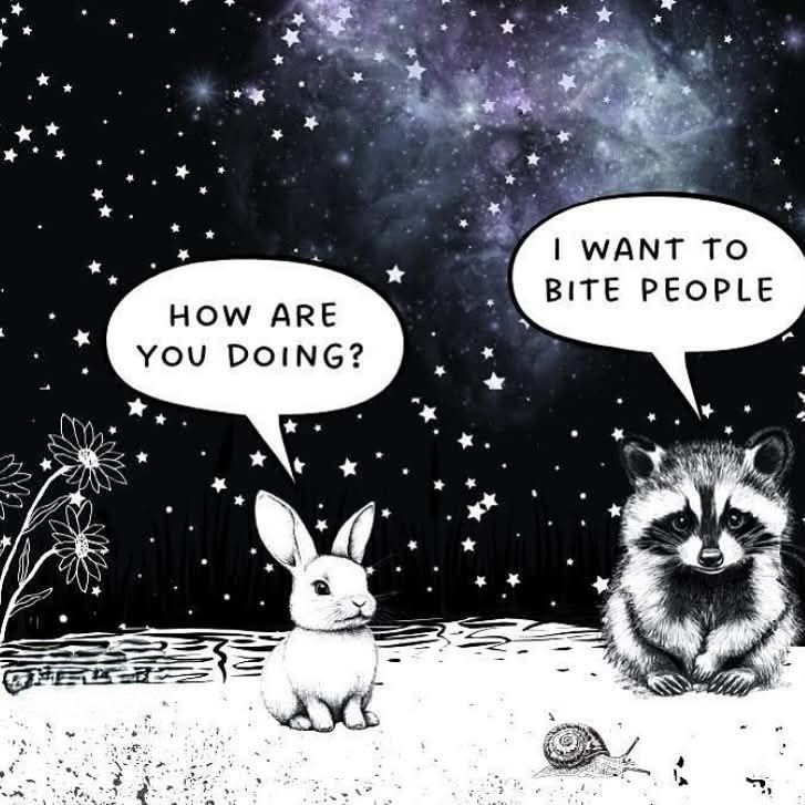 A black and white cartoon image of a little Bunny asking a raccoon 