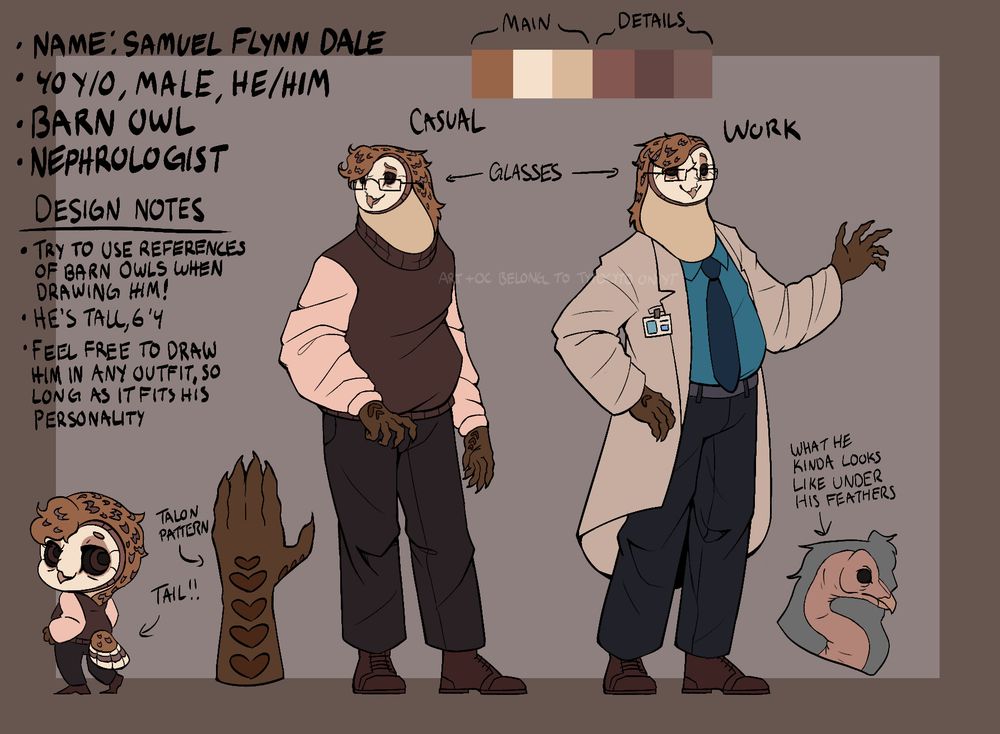 a ref sheet of an anthropomorphic barn owl