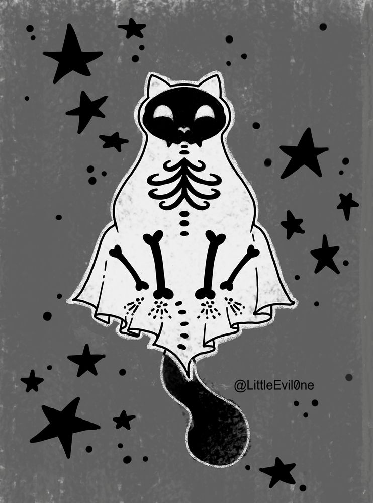 A ghost cat on a gray background with black stars. Through the ghost sheet you can see the cat's bones