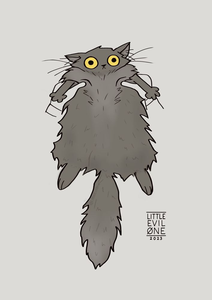 Big gray wide eyed cat being held up by their armpits