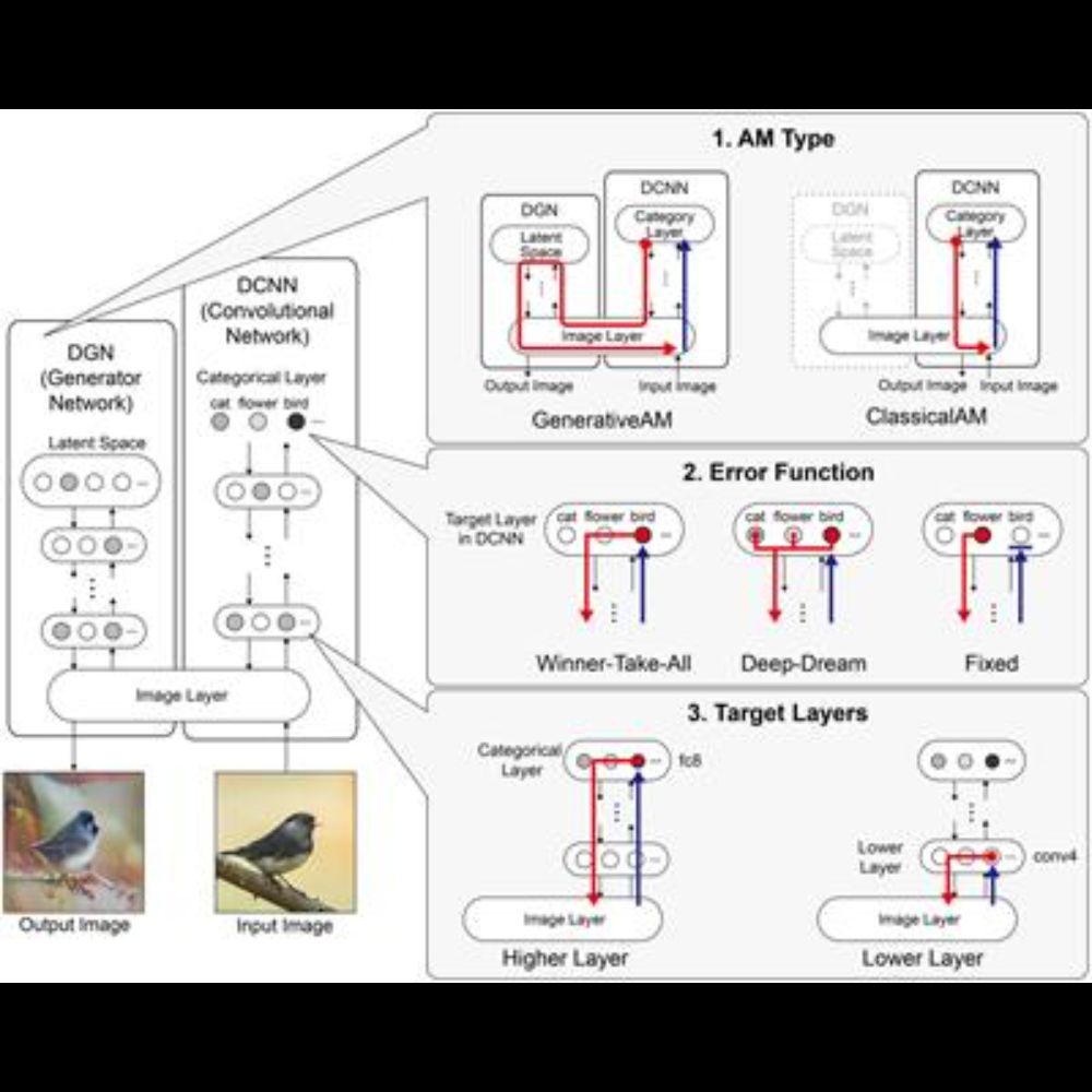 Modelling phenomenological differences in aetiologically distinct visual hallucinations using deep n...