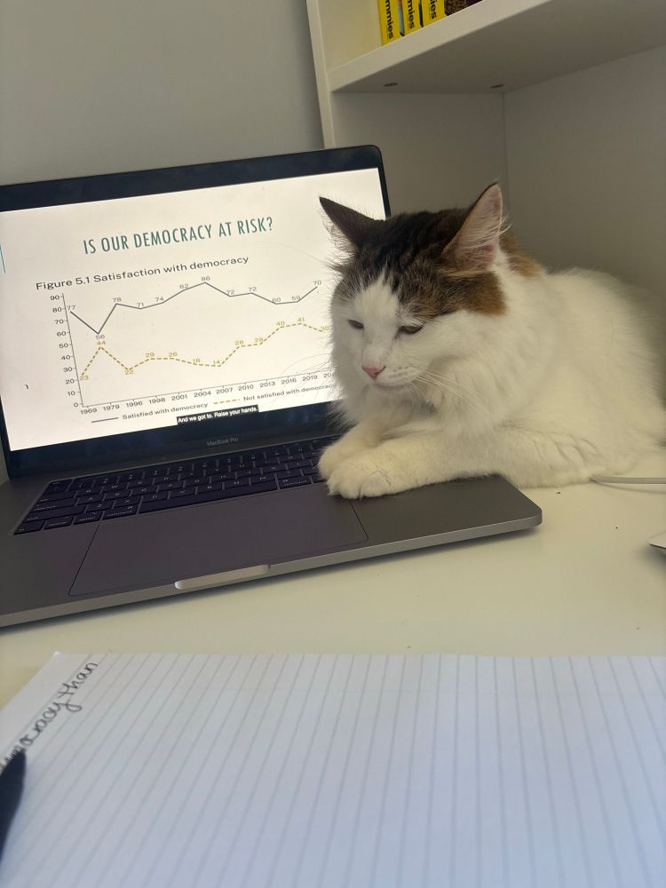 Photo of Lauren’s desk showing her laptop with a PowerPoint slide that says “is our democracy at risk?” With a graph showing statistics on satisfaction with democracy from 1969 to 2022. Her cat Leo is sitting on the edge of her laptop. Leo is white with brown ears and half of his face. 