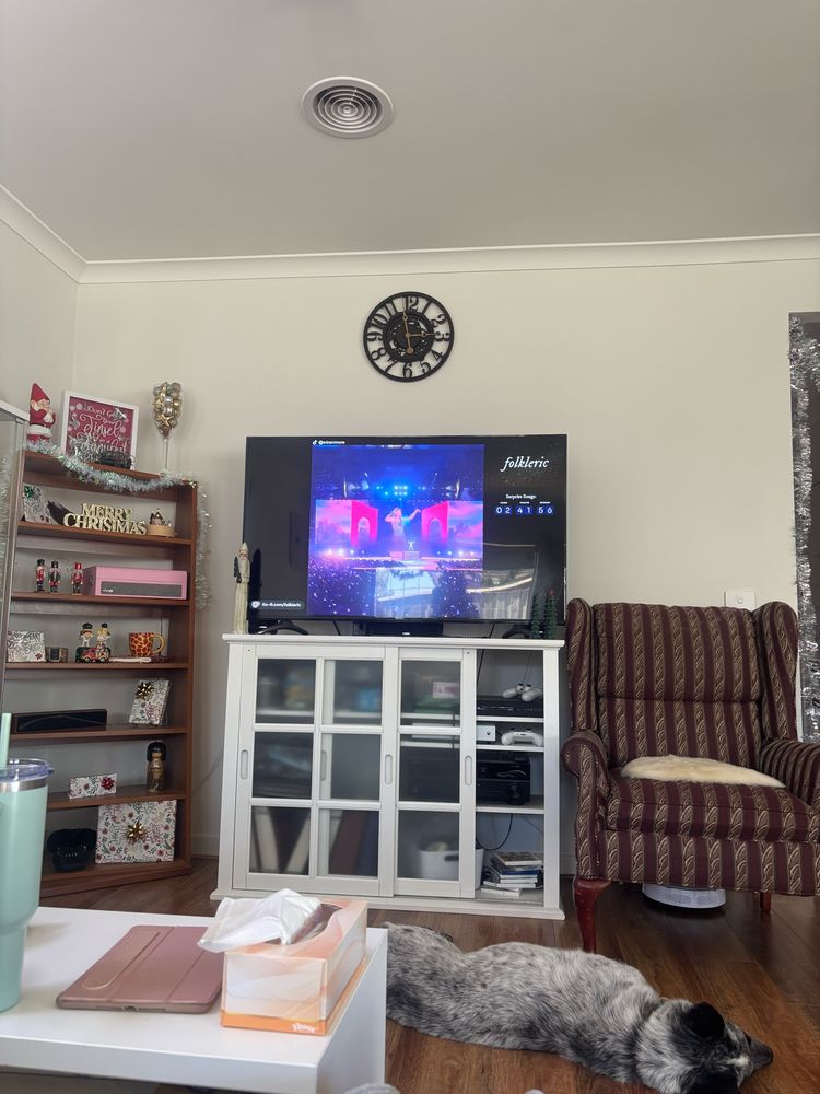Photo of Lauren’s lounge room. The TV is showing the eras tour livestream. Her dog atticus is laying in the floor in front of the tv 