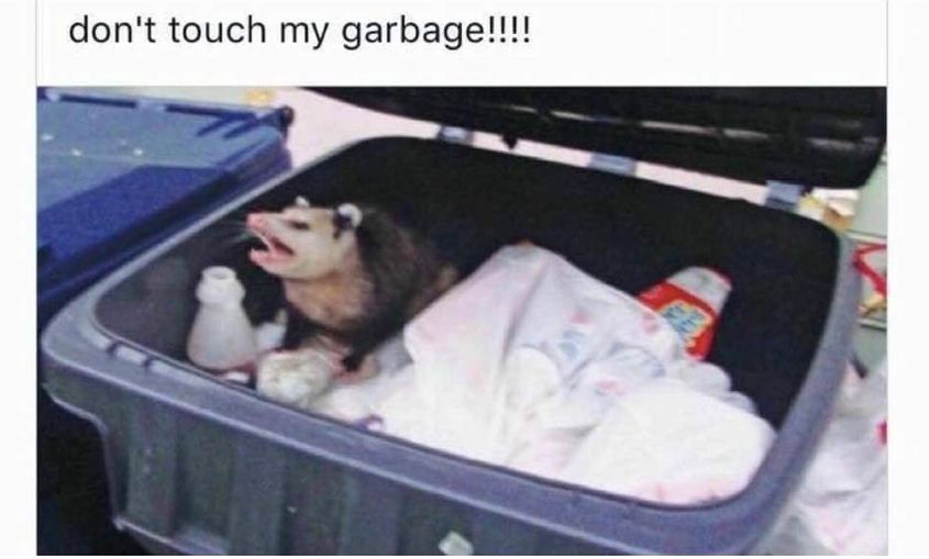 Opossum in a trash bin with the caption "don't touch my garbage!!!"