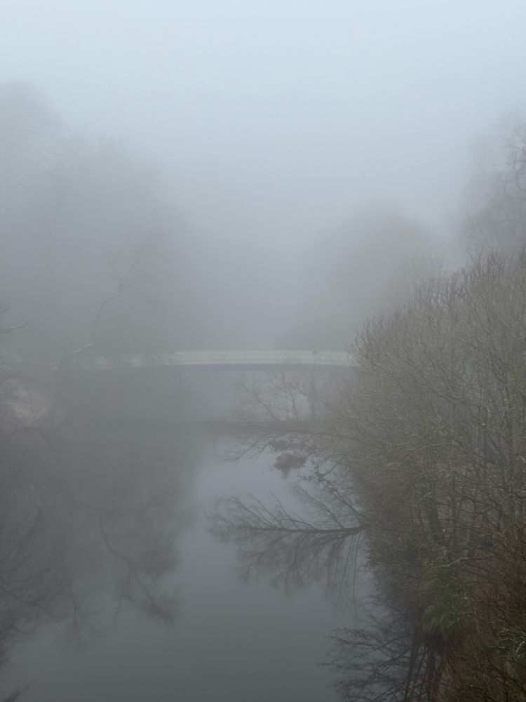 Fog over river kelvin