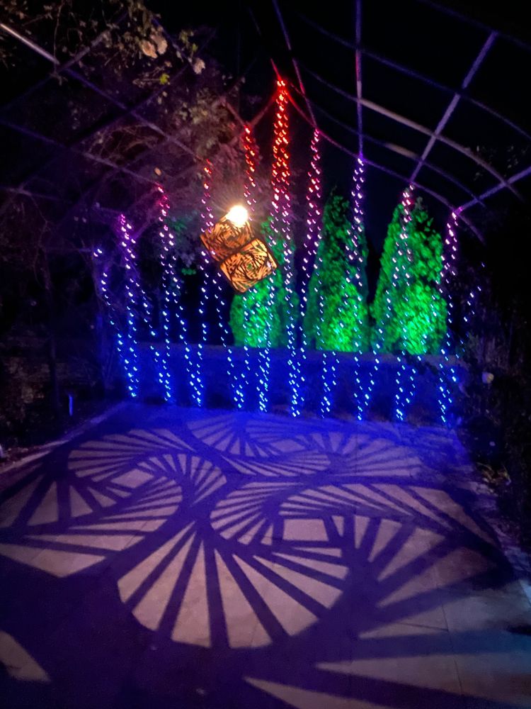 Lit shadow box in the foreground casting geometric shadows on the ground. Behind the box are strings of lights in ombré from blue at the bottom shading to red at the tops. Green lit trees in the background.
