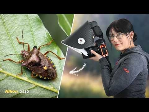 A Journey into Insect Photography: From Fungi to Flies!