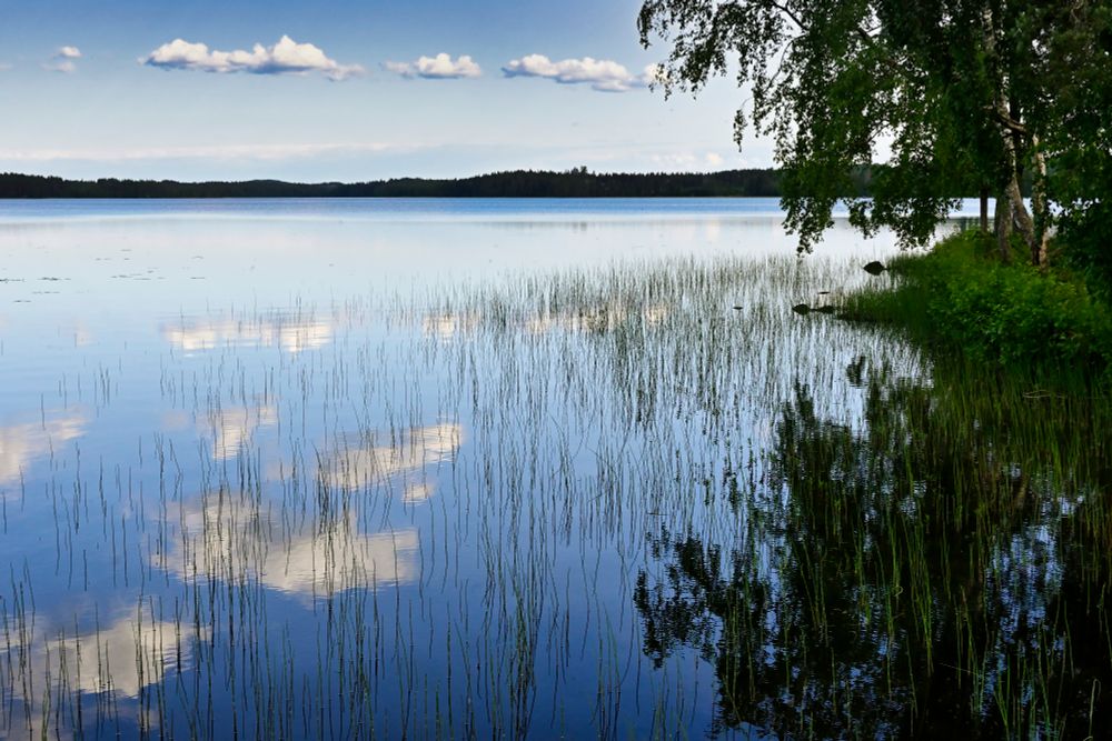 Lake with cloud reflection 