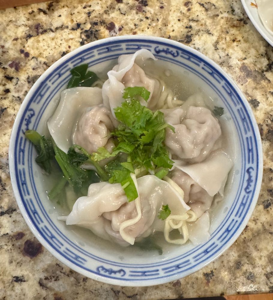 Bowl of wonton soup, greens and noodles, green cilantro sprinkled on top. 
