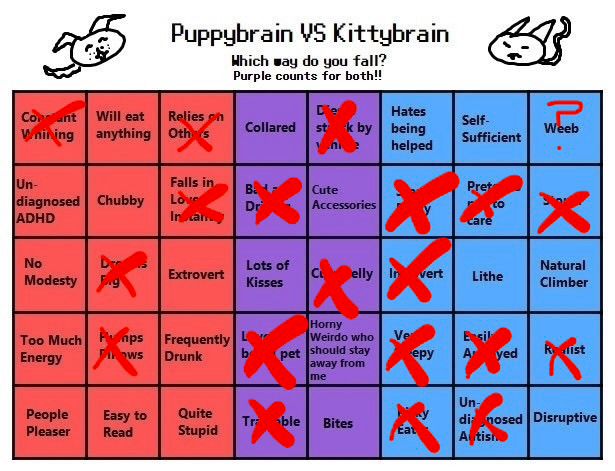 puppybrain vs kittybrain chart. i apparently learn more to the latter side
