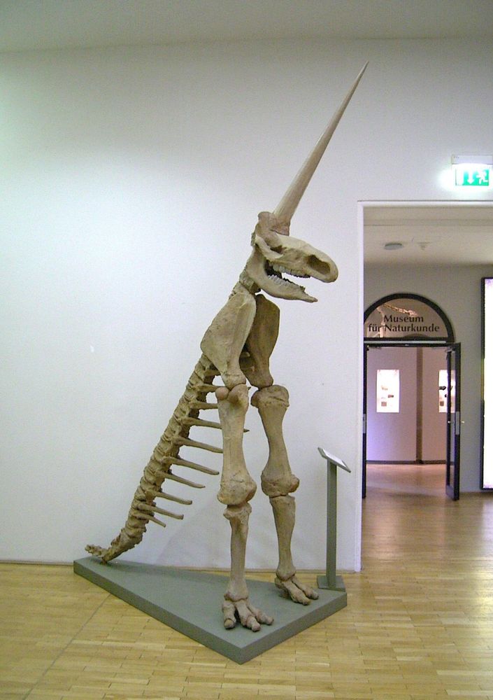 The skeleton on display looks like a horse head on a gator skeleton propped up on mammoth’s front legs 