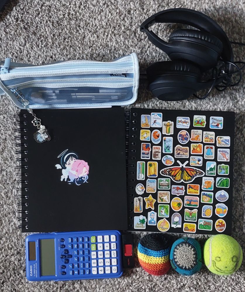 (Top to bottom, left to right)
• A light blue mesh pencilcase with a Till ALNST keychain attached
• Black corded headphones
• A black notebook with a single Mizisua sticker on it
• A black notebook with stickers of the 50 states and single monarch butterfly in the center
• A blue calculator
• a black and red flash drive
• two hackeysacks and one tennis ball (with a face drawn on it)