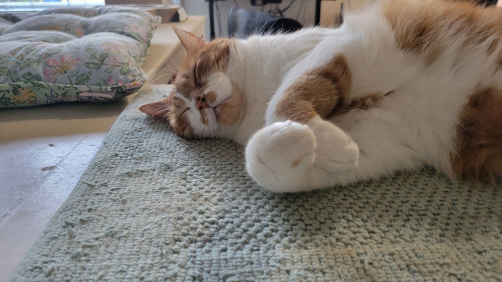 Benjamin, AKA Mr Sirs