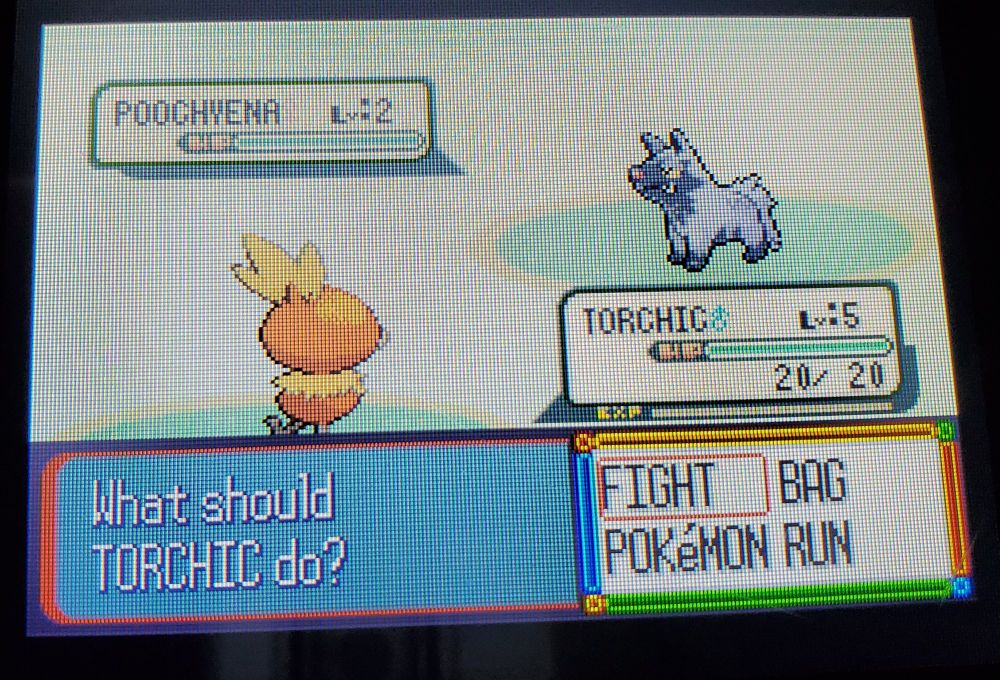 battle screen from pokemon ruby with a torchic sent out