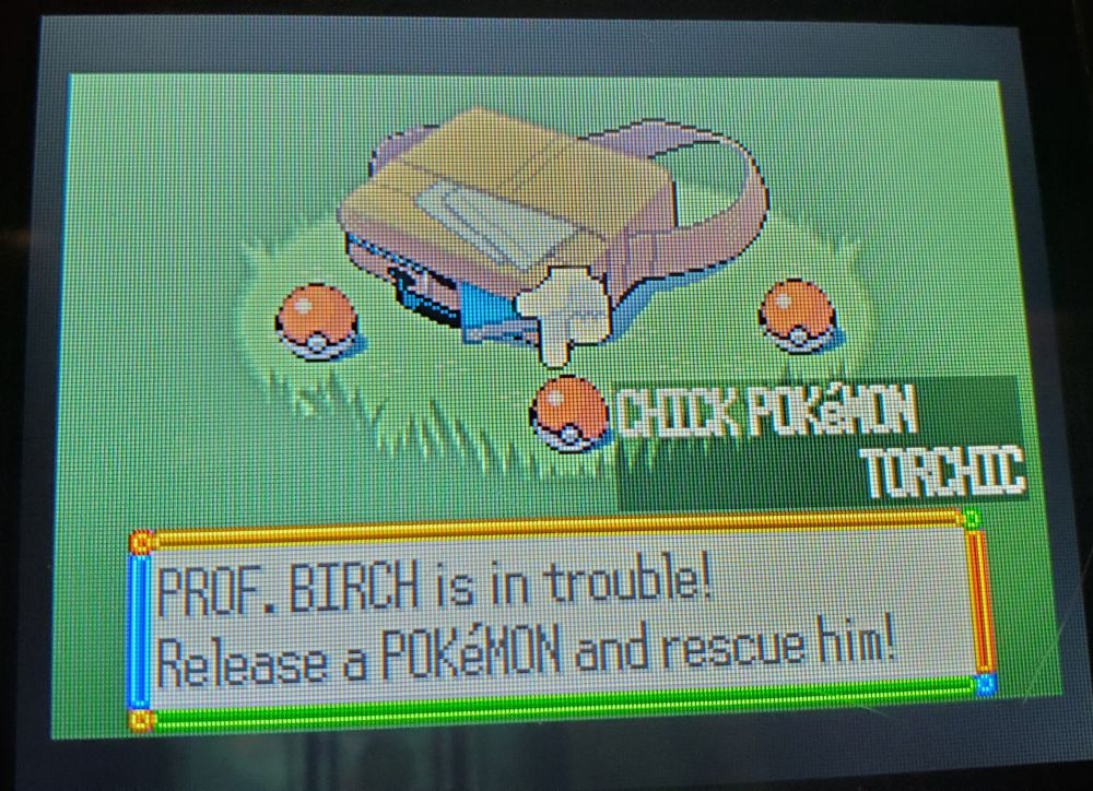 screen from the game pokemon ruby version where you select your starter pokemon, highlighting over torchic.