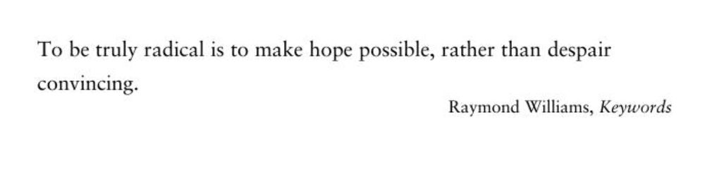 To be truly radical is to make hope possible, rather than despair convincing. Raymond Williams.