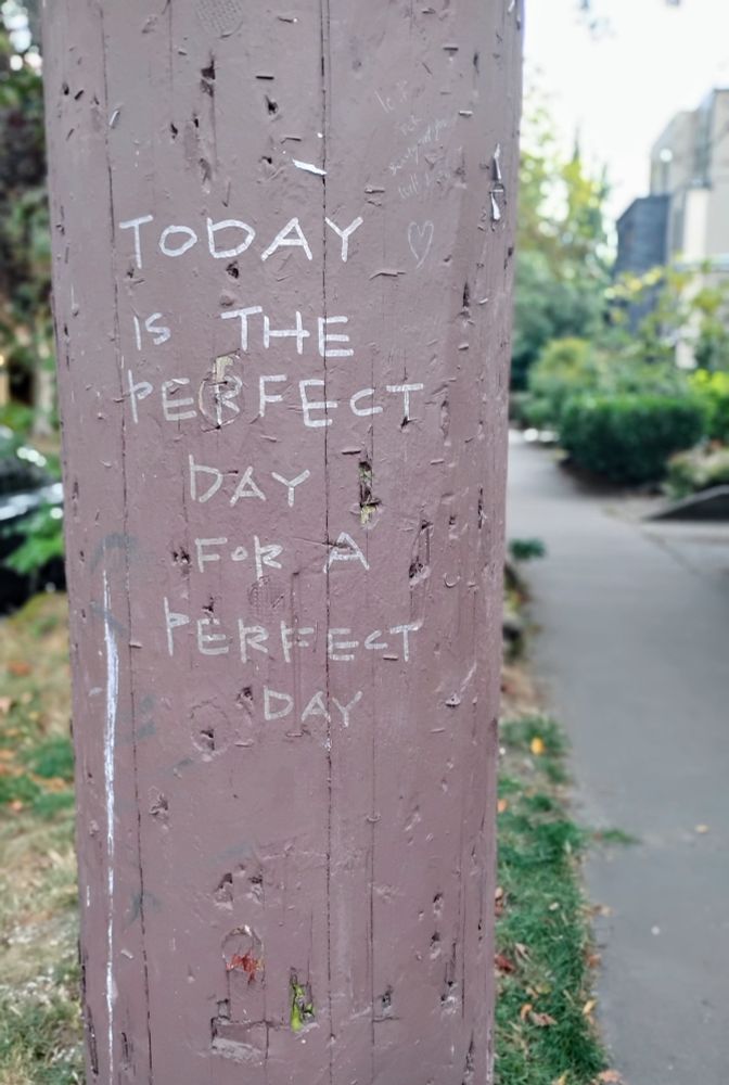 The quote "today is the perfect day for a perfect day" is handwritten on a utility pole in a residential neighborhood.