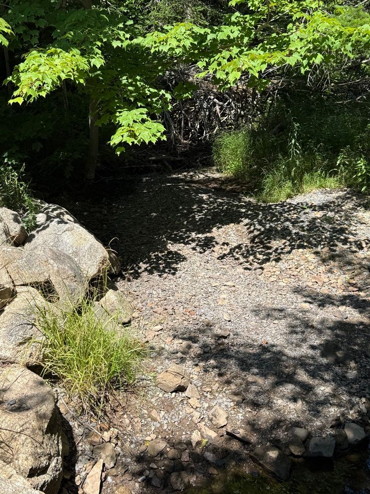Dry brook bed. Just dry stones where there is usually flowing water.