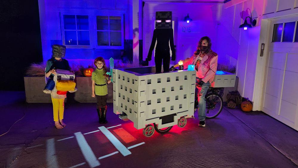 Minecraft Family bunch bike costume
