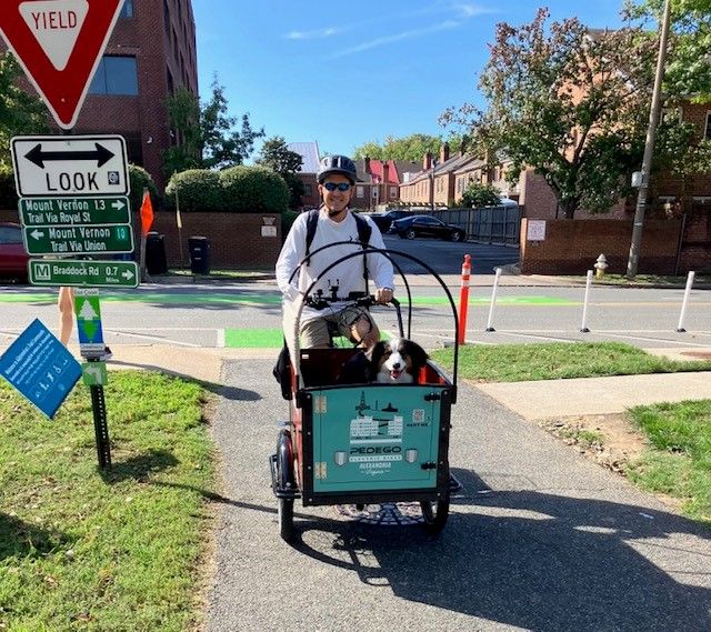 cute pup in a bunch bike k9 from pedego alexandria