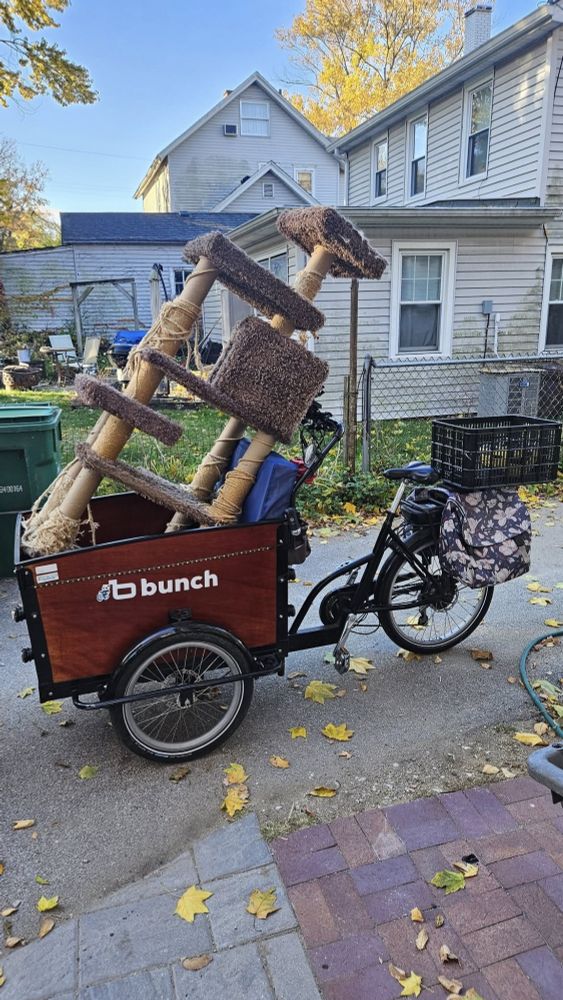 Enormous cat tree in a bunch bike