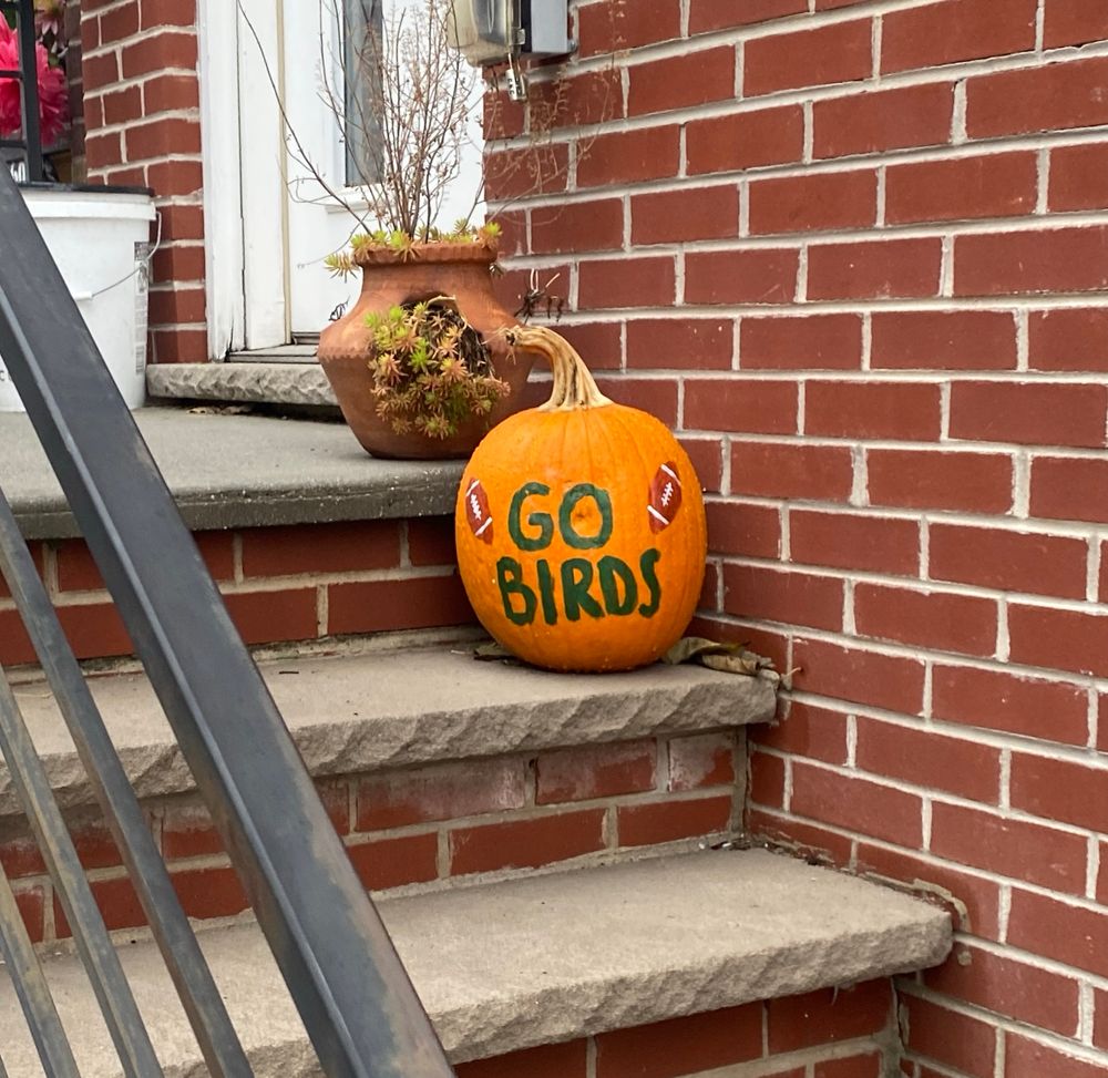Pumpkin with GO BIRDS painted on it sitting on a stoop