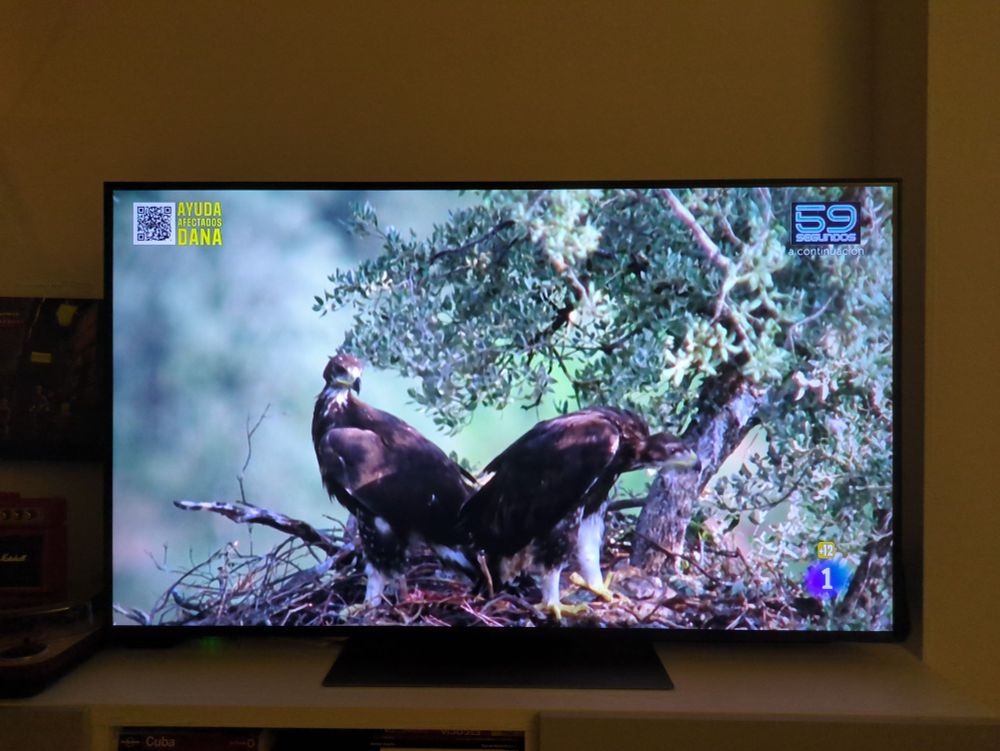 Imagen de una televisión que muestra lo buitres que son en El Hormiguero. 