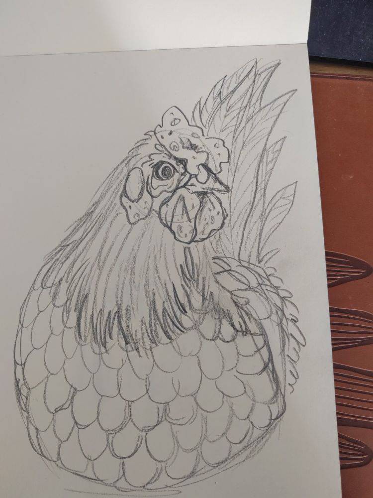 A hen that has developed male secondary sex characteristics. Such as a large wottle and comb, spurs and large tail feathers.