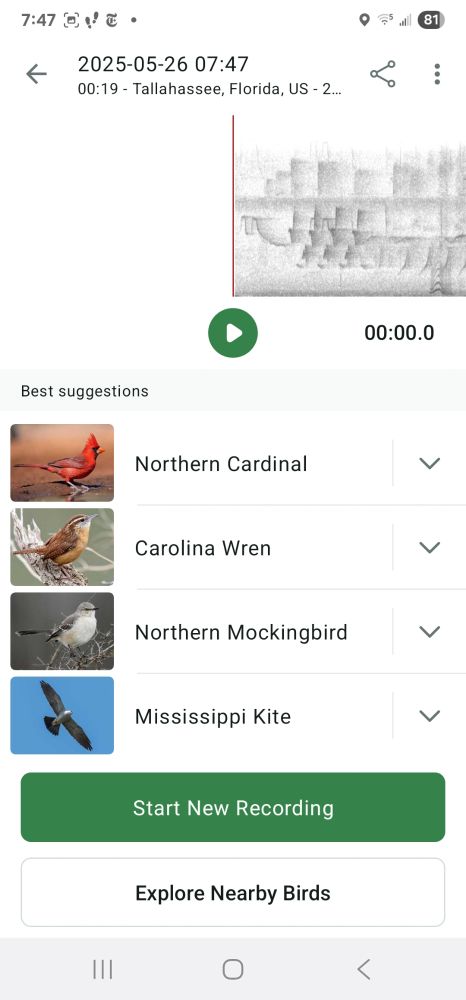 Merlin App description of birds I heard