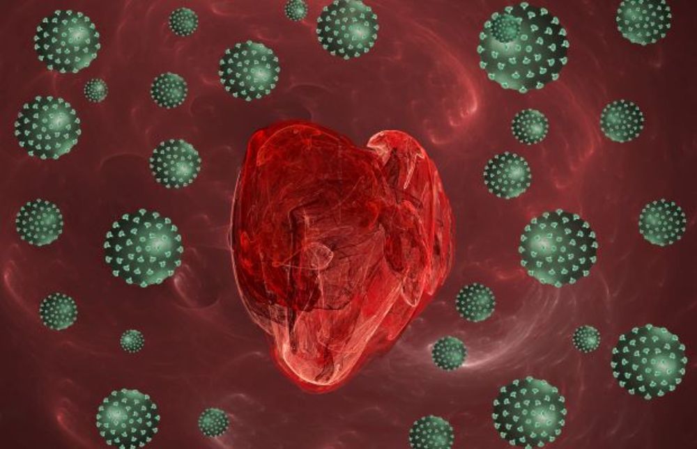 How does coronavirus affect your heart?