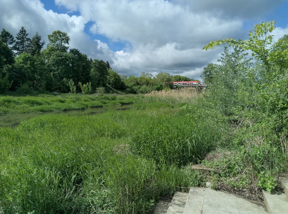 A small river - lots of greenery, not a lot of water. In the background there's a bridge through which a train is passing.