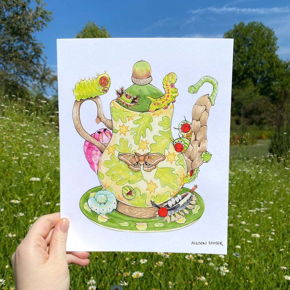 My hand holding my illustration of a green teapot decorated with white oak leaves and stars that’s covered with caterpillars. Th caterpillars include (from the top of the teapot to the plate): Polyphemus moth, saddleback caterpillar, blinded sphinx, fall cutworm, white-blotched heterocampa, button slug, rosy maple moths, rough prominent, and white-marked tussock moth. 