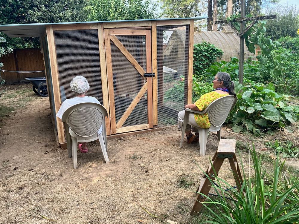 Better than TV - two friends sit outside a chicken coop, watching the hands in companionable silence.