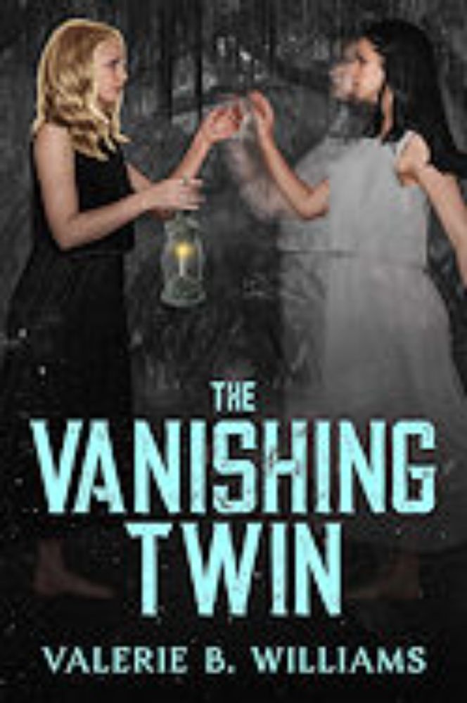 The Vanishing Twin by Valerie B. Williams