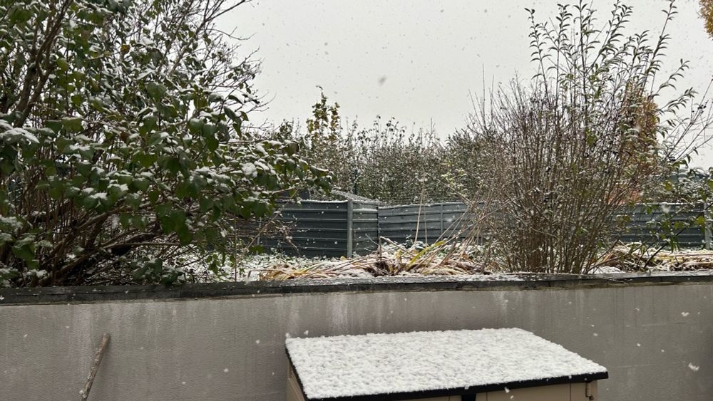Erster Schneefall des Jahres in einem Garten. | First snow of the year coming down in a garden.