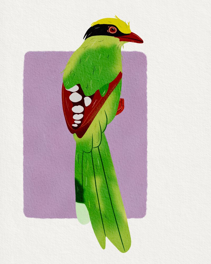 Stilisiert gemalte Buschelster im Stil von Gouache. Dahinter ein lilafarbenes Rechteck als eine Art Einrahmung. 