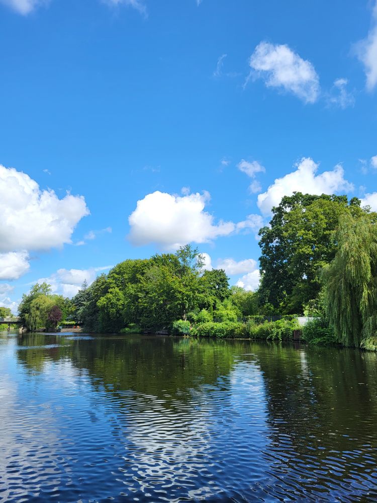 Blick auf die Alster. Am Ufer stehen viele Büsche und Bäume. Der Himmel ist strahlend blau mit kleinen weißen Wolken. 