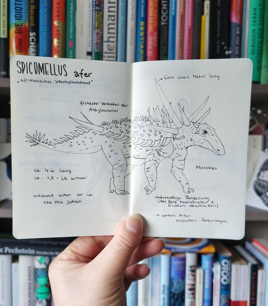 Tusche Skizze eines Spicomellos. Drumherum stehen ein paar Fakten.
4 Meter lang
1.5 - 3 Tonnen schwer
Entstand schon vor 170 Mio Jahren
Marokko
Aufwendige Panzerung
Frühester Vertreter der Ankylosaurier