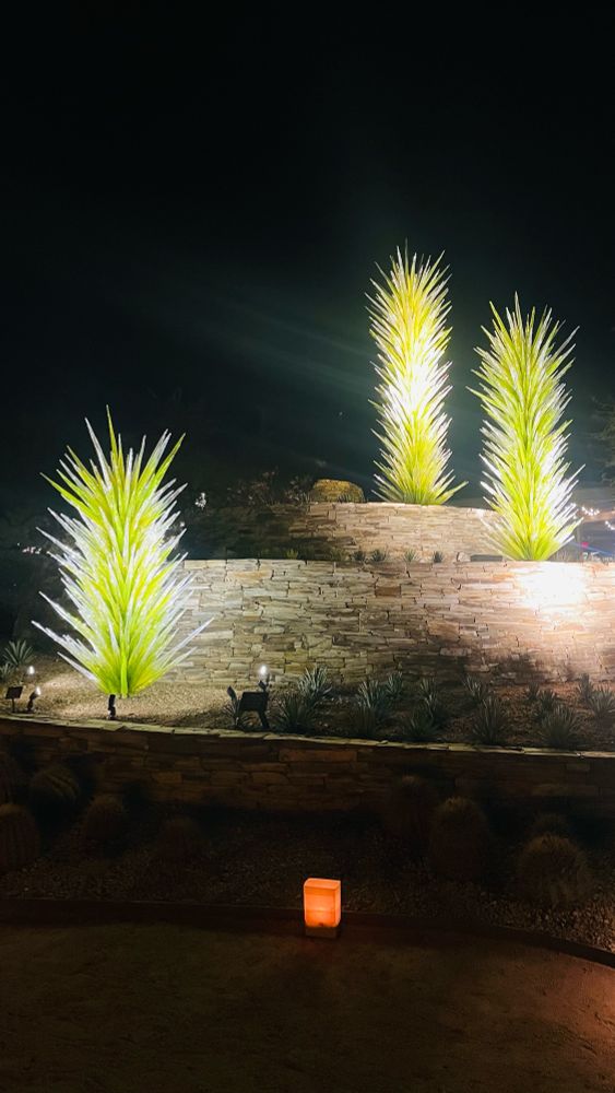 Bright lights sculptures are shown against the dark sky background. 