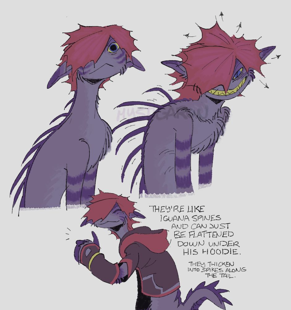 more digital illustrations of this altered version of sora's monstropolis design. the first two show him without his hoodie, revealing a long set of thin iguana-like spines running down his back.
in the first of these two drawings, he appears relaxed, and the spines down his back are somewhat flattened. the frills that make up his hair are also very flat looking.
in the drawing next to this, he appears agitated, or making an attempt to look fearsome. the spines along his back have been raised and stick out, revealing their true length, and his hair frills have fanned out as well. he is baring his teeth in a wide smile or grimace, and his pupil has become a slit.
in the final drawing beneath the former two, a small drawing of him giving a thumbs up towards the viewer over his shoulder is shown, now wearing his hoodie again. text next to it reads "they're like iguana spines and can just be flattened down under his hoodie. they thicken into spikes along the tail."